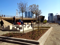 Vergroening Willemsplein