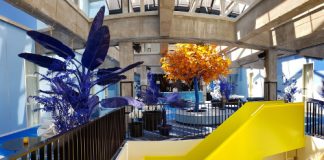 Foodhallen in Pakhuis Meesteren Rotterdam